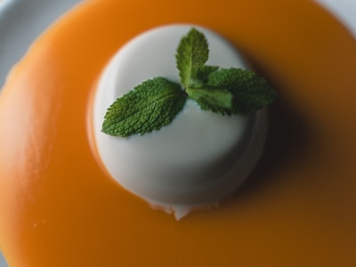 Vanilla Panna Cotta